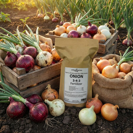 Organic Onion Fertilizer, Fertilizers - 3 Pounds image number null